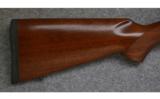 CZ 527 Varmint,.17 Remington, - 5 of 7