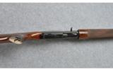 Remington 1100 G3, 20 Ga., Competition Gun - 4 of 7