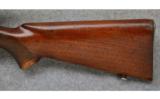Winchester Pre-War Model 70, .270 Winchester - 7 of 7