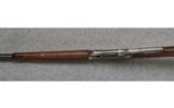 Winchester Model 1895, .30 U.S., Game Rifle - 3 of 7