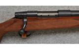 Weatherby Vanguard, .243 Win., Game Rifle - 2 of 7
