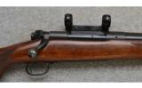 Winchester Model 70, .375 H&H Mag., Pre-64 - 2 of 7
