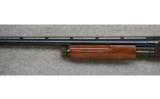 Browning BPS, 12 Gauge, Pump Shotgun - 6 of 7