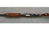 Browning BPS, 12 Gauge, Pump Shotgun - 3 of 7