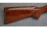Remington Model 1100, 12 Ga.,
Game Gun - 5 of 7