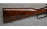 Browning BL-22,.22 S.L.LR., Lever Rifle - 4 of 6