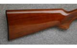 Charles Daly Field III,20 Gauge,Game Gun - 6 of 7