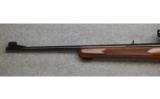 Winchester Model 100,
.284 Winchester - 6 of 8