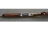 Browning BLR Light Weight, .243 Win., White Gold - 2 of 7
