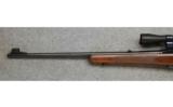Winchester Model 88, .308 Win., Post-64 - 6 of 7