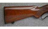 Winchester Model 88, .308 Win., Post-64 - 5 of 7