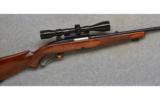 Winchester Model 88, .243 Win., Pre-64 - 1 of 7