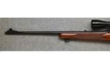 Winchester Model 88, .243 Win., Pre-64 - 6 of 7