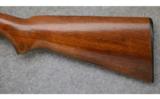 Winchester Model 24,
12 Gauge,
Game Gun - 7 of 7