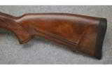 CZ 550 Safari Magnum, .458 Winchester Magnum - 7 of 7