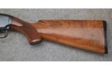 Winchester ~ Model 12 ~ 12 Ga. ~ Field Gun - 7 of 7