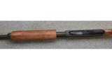 Remington Model 870,
20 Ga.,
Youth Model - 3 of 7