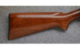 Winchester Model 12,
16 Gauge,
Game Gun - 5 of 7