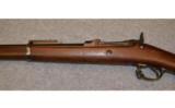 Springfield 1884, .45-70 Gov't., Trap Door - 7 of 9