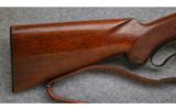 Winchester Model 88, .308 Win., Pre-64 Rifle - 5 of 7