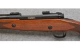 Winchester ~ Model 70 ~ Super Express ~ .458 Magnum - 4 of 7