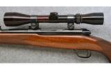 Winchester Model 70 Super Grade, .300 H&H, Pre-64 - 4 of 7
