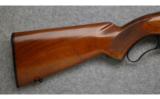 Winchester Model 88,
.308 Win., Pre-64 - 5 of 7