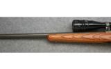 Ruger Model 77/22,
.22 Lr., Stainless Laminate - 6 of 7