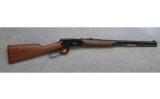 Winchester ~ New Model 1894 ~ .25-35 Winchester - 5 of 5