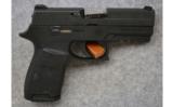 Sig Sauer P250,
.40 S&W,
Carry Pistol - 1 of 2