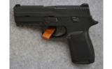 Sig Sauer P250,
.40 S&W,
Carry Pistol - 2 of 2