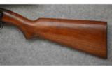 Winchester ~ Model 61 ~
.22 Lr. ~ Game Rifle - 7 of 7