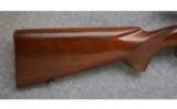 Winchester ~ Model 70 ~ Pre-War ~ .220 Swift - 2 of 9