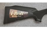 Smith & Wesson ~ I-Bolt ~ .30-06 Sprg. - 2 of 9