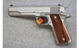Colt ~ Government Model Stainless ~ .45 ACP. - 2 of 2