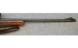 Winchester ~ Model 70 Pre-64 ~ .243 Win. - 4 of 9