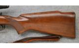 Winchester ~ Model 70 Pre-64 ~ .243 Win. - 8 of 9