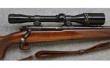 Winchester ~ Model 70 Pre-64 ~ .243 Win. - 3 of 9