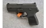 SIG Sauer ~ Model P250 ~ .40 S&W - 2 of 2