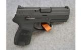 SIG Sauer ~ Model P250 ~ .40 S&W - 1 of 2