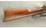 Winchester ~ Model 1895 ~ .40-72 WCF. - 6 of 8