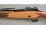 Winchester ~ Model 70 Classic Super Grade 