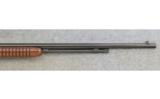 Winchester ~ Model 61 ~ .22 S.L. or
Lr. - 4 of 9