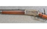 Winchester ~ Model 1886 ~ .45-70 Gov't - 9 of 9
