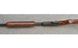 Winchester ~ Model 61 ~ .22 S.L. or Lr. - 13 of 26
