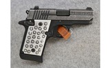 SIG Sauer ~ Model P938 We The People