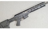 Sig Sauer ~ Sig 556 ~ 5.56×45 NATO - 1 of 11