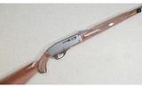 Remington ~ Nylon 66 ~ .22 Long Rifle - 1 of 11