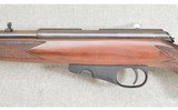 Winchester ~ Wildcat ~ .22 Long Rifle - 6 of 11