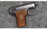 H&R ~ Self-Loading ~ .25 ACP - 1 of 2